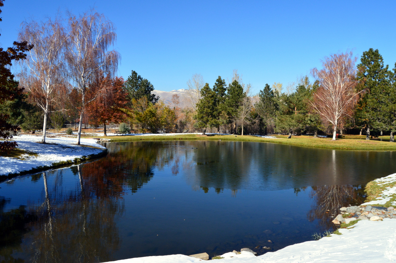 Peaceful Winter Pond in Reno